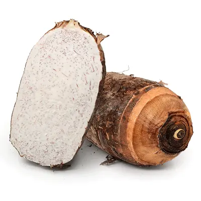 桂林馆 生鲜密语正宗广西荔浦芋头 精美礼盒装